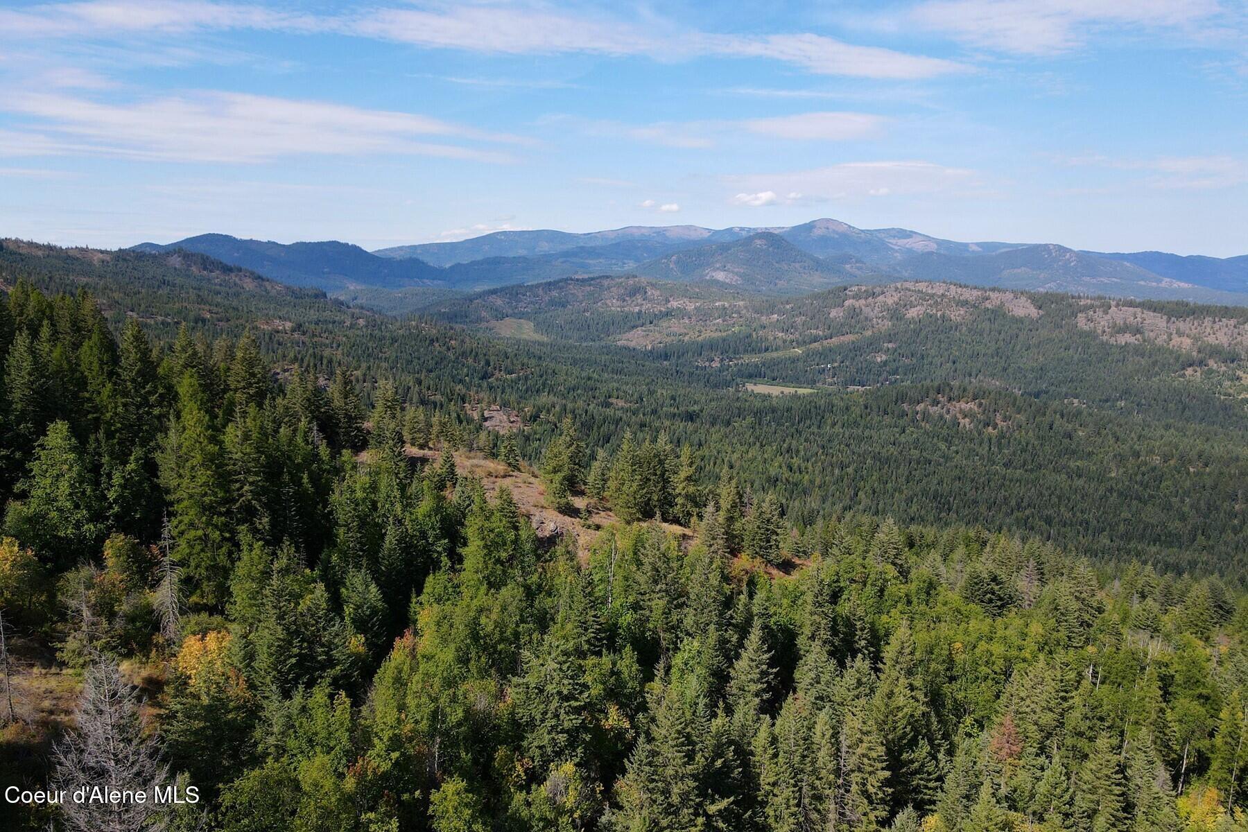 NNA Upper Manley Creek