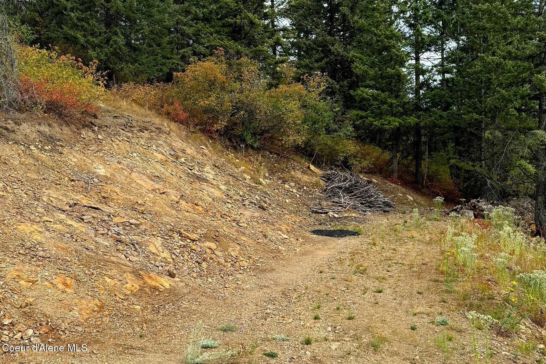 NNA Upper Manley Creek