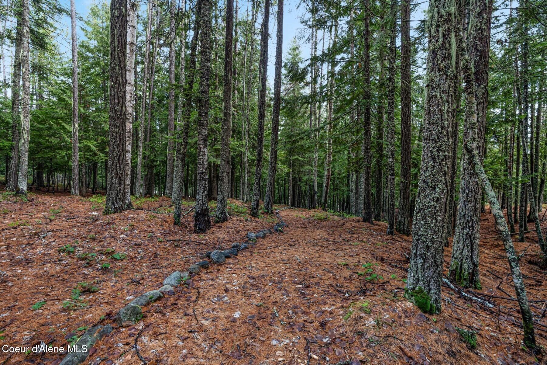 774 Mountain Creek Rd