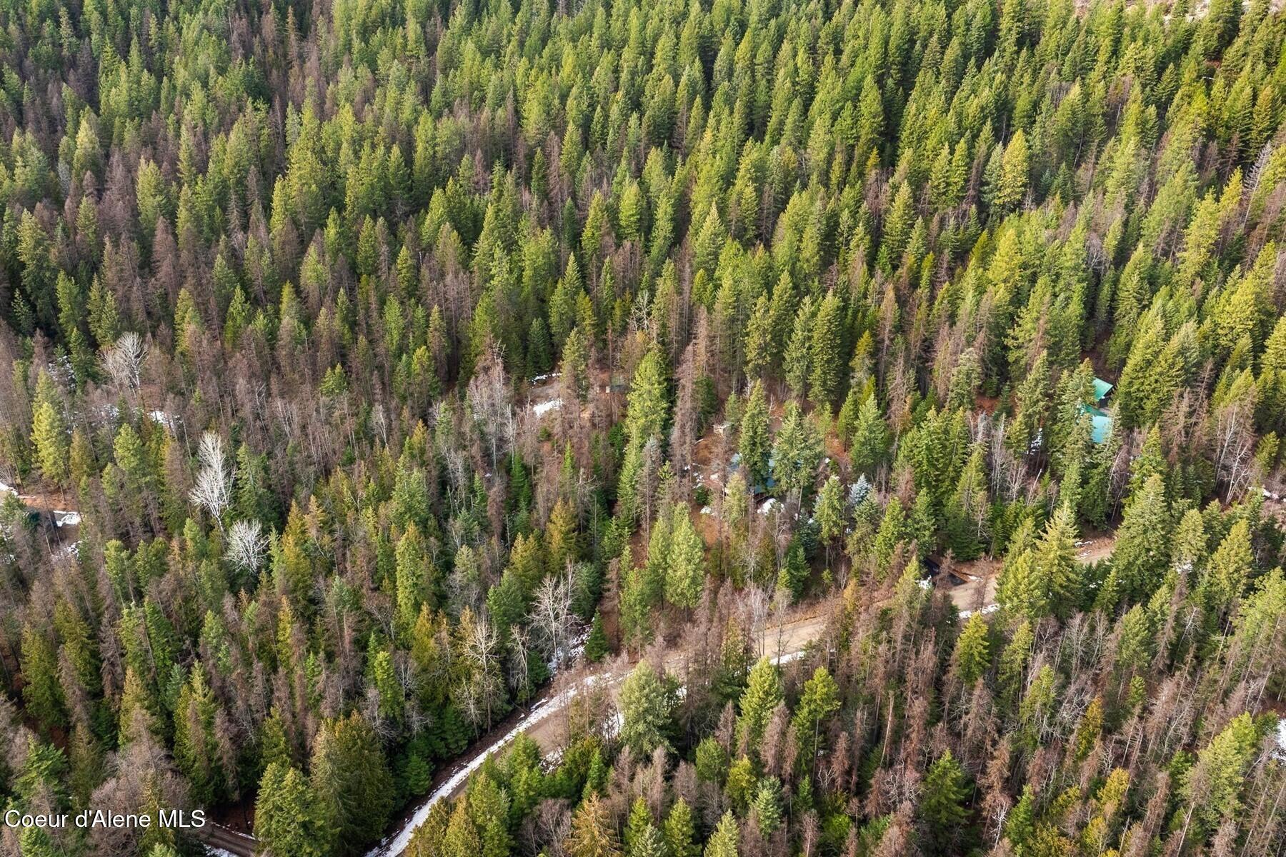 774 Mountain Creek Rd