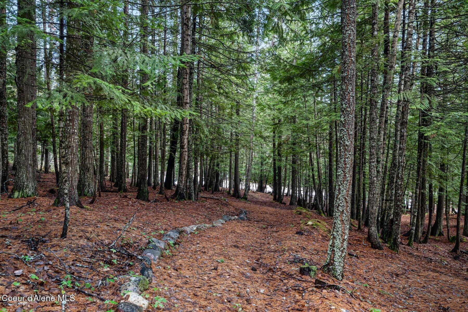 774 Mountain Creek Rd