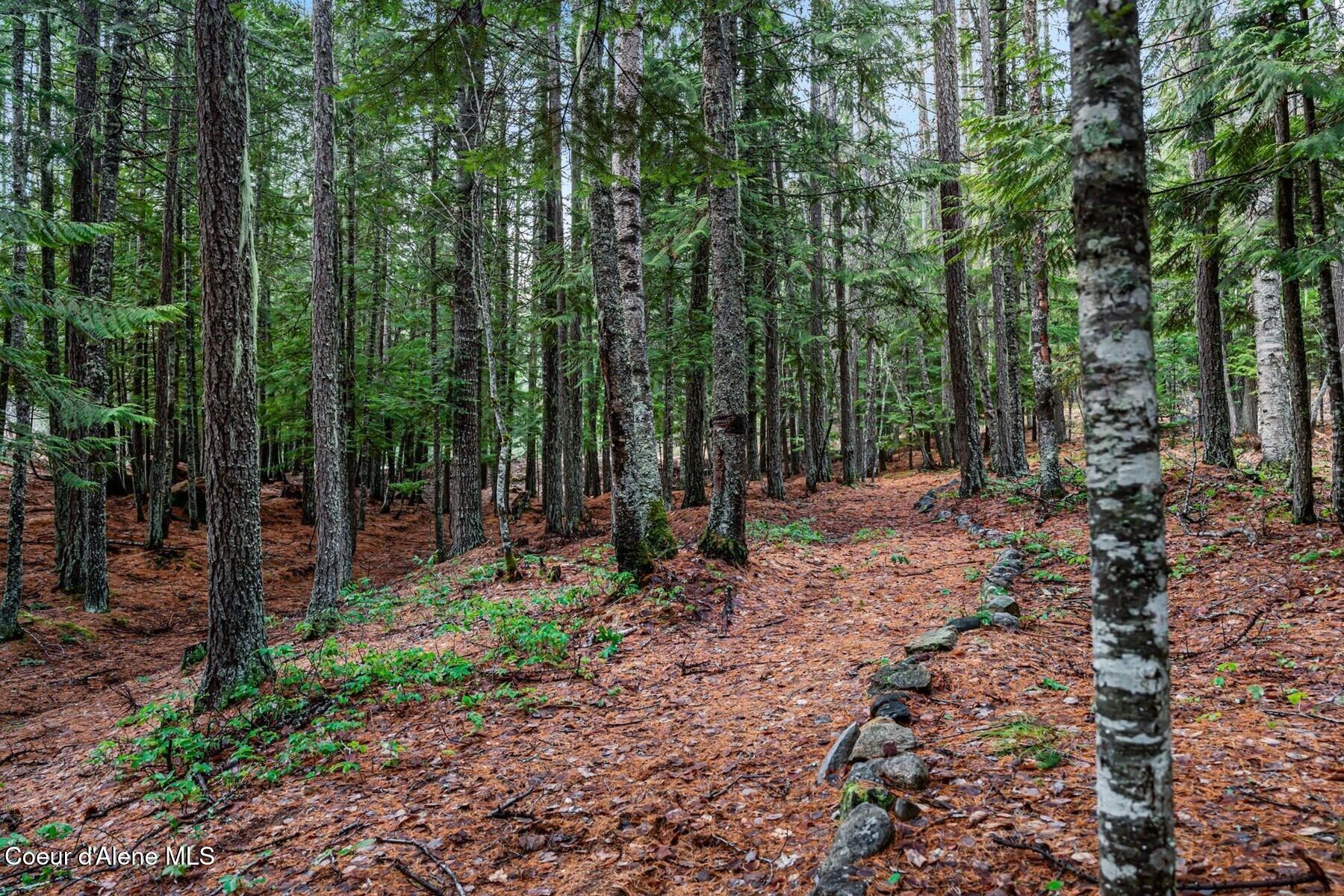 774 Mountain Creek Rd