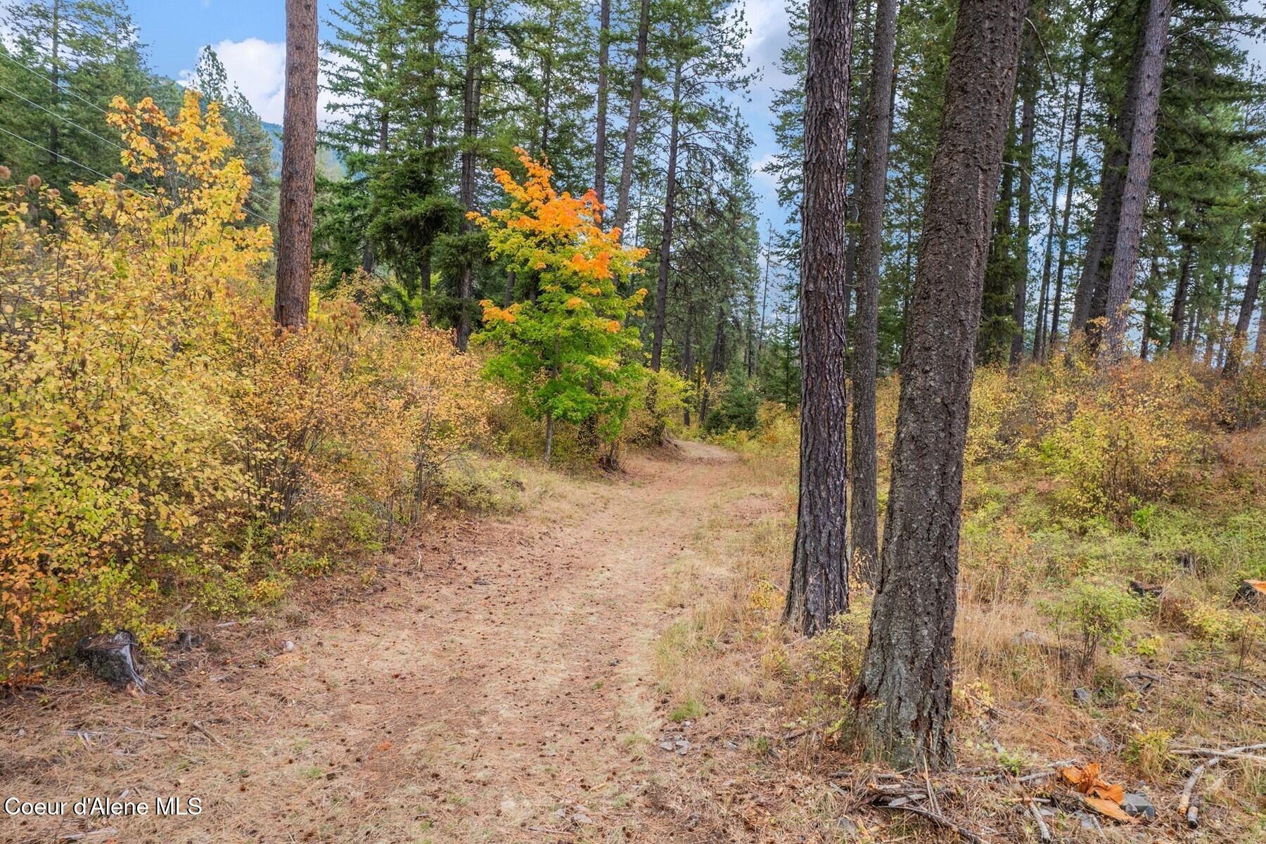 NNA Green Monarch Lane