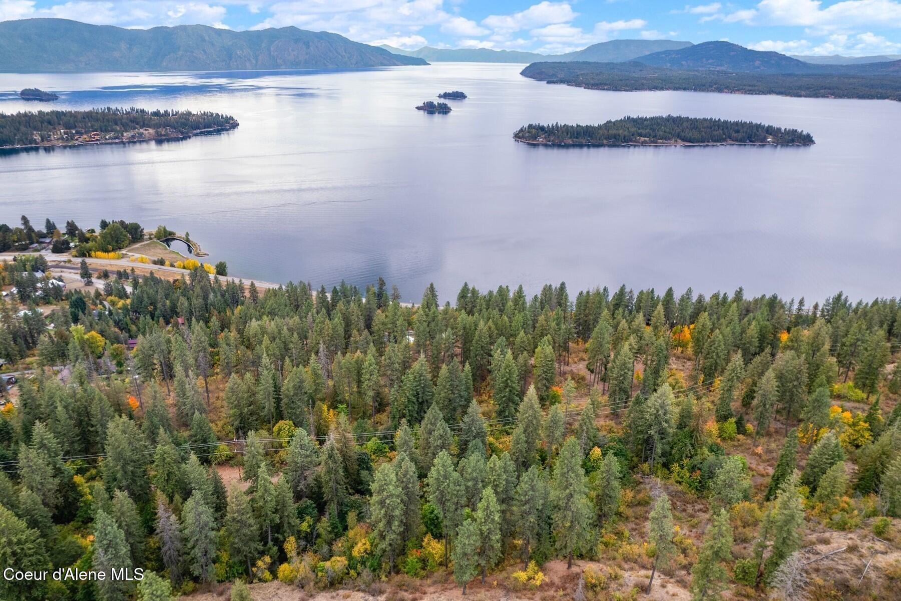 NNA Green Monarch Lane