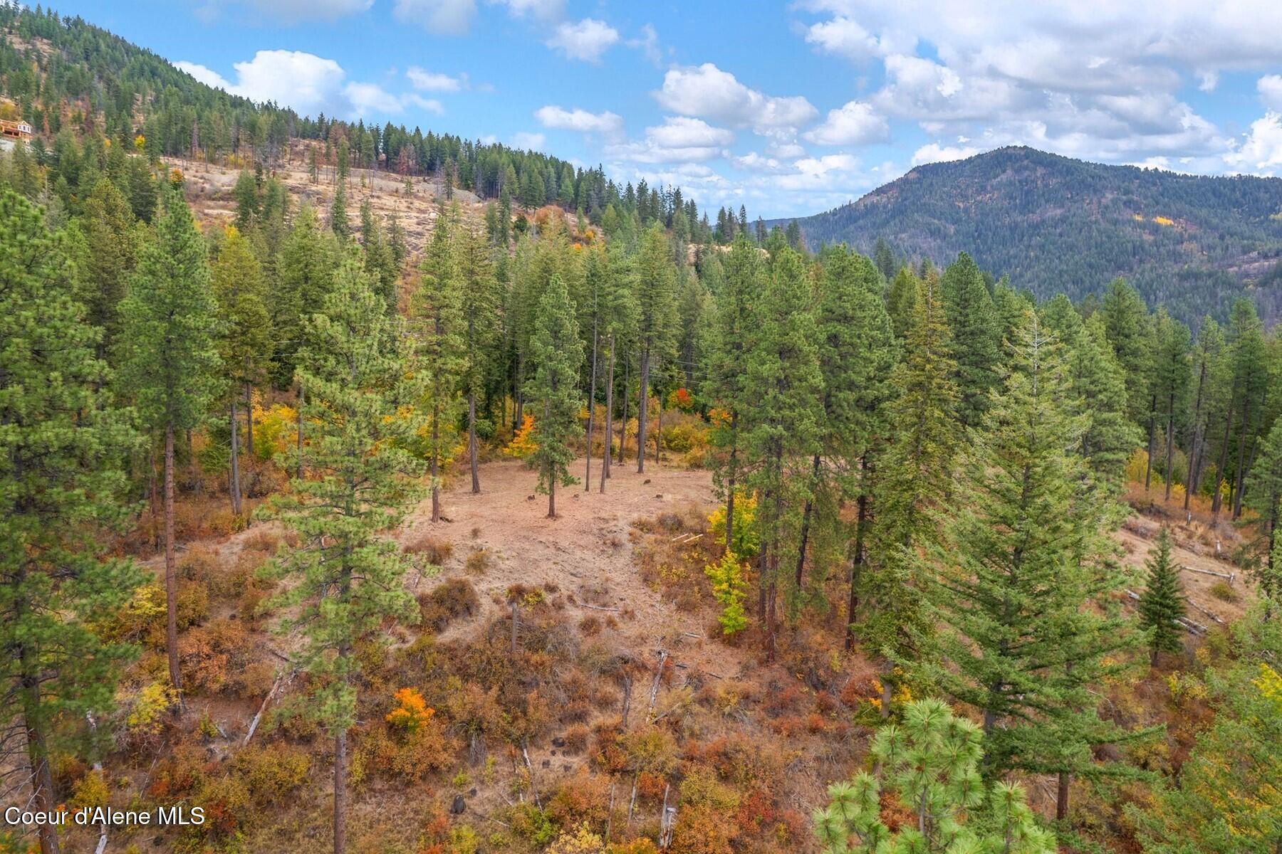 NNA Green Monarch Lane