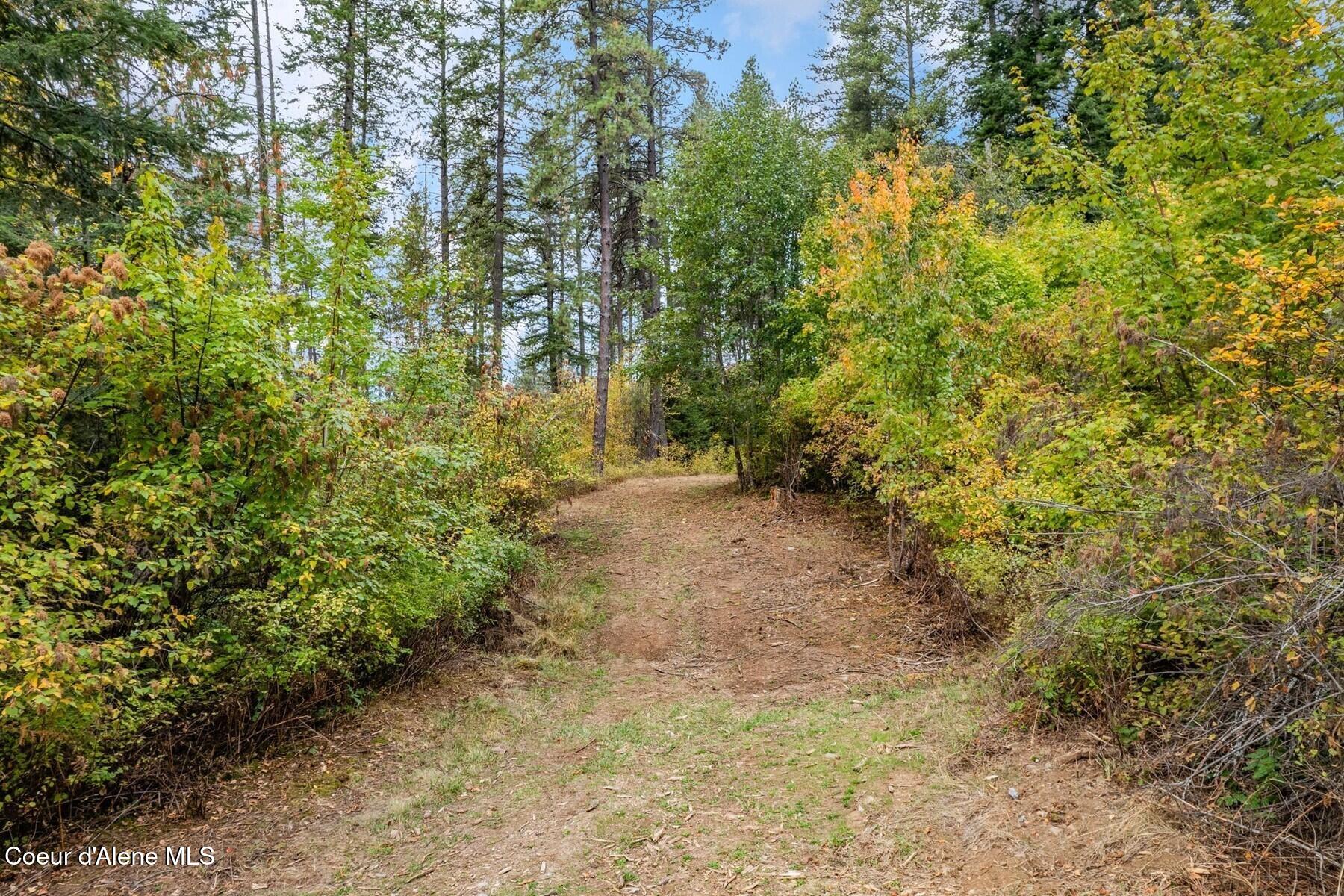 NNA Green Monarch Lane