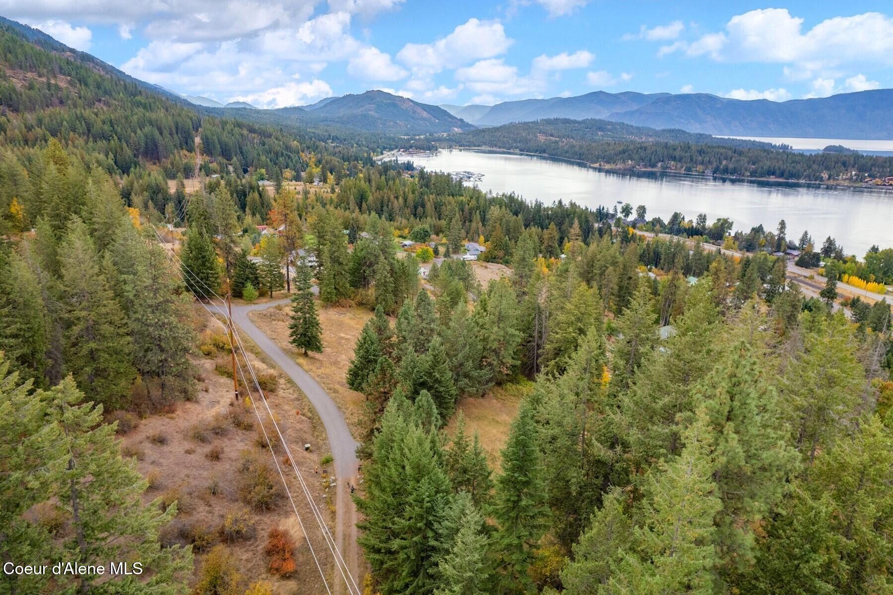 NNA Green Monarch Lane