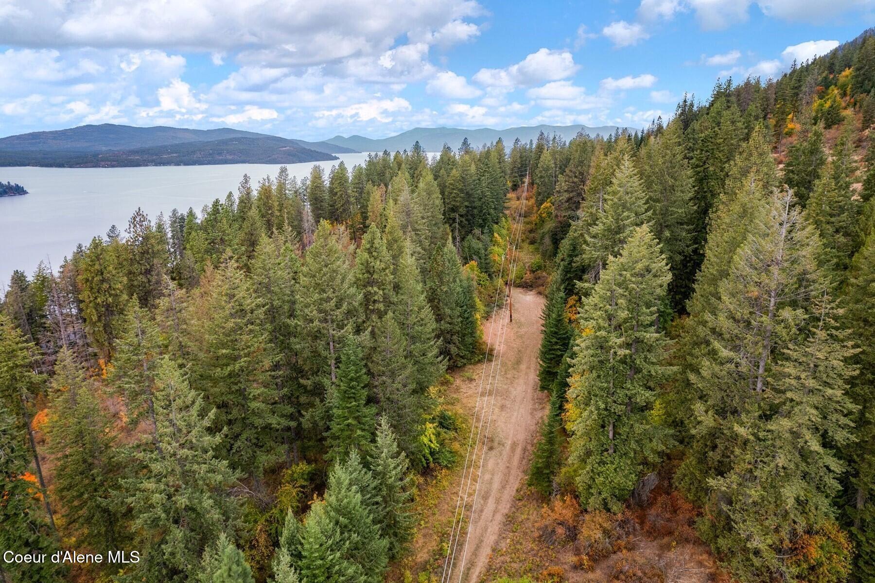 NNA Green Monarch Lane