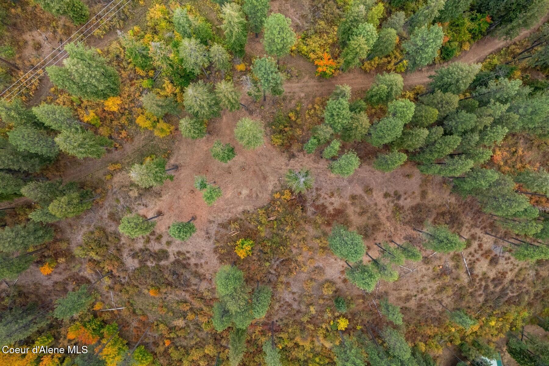 NNA Green Monarch Lane