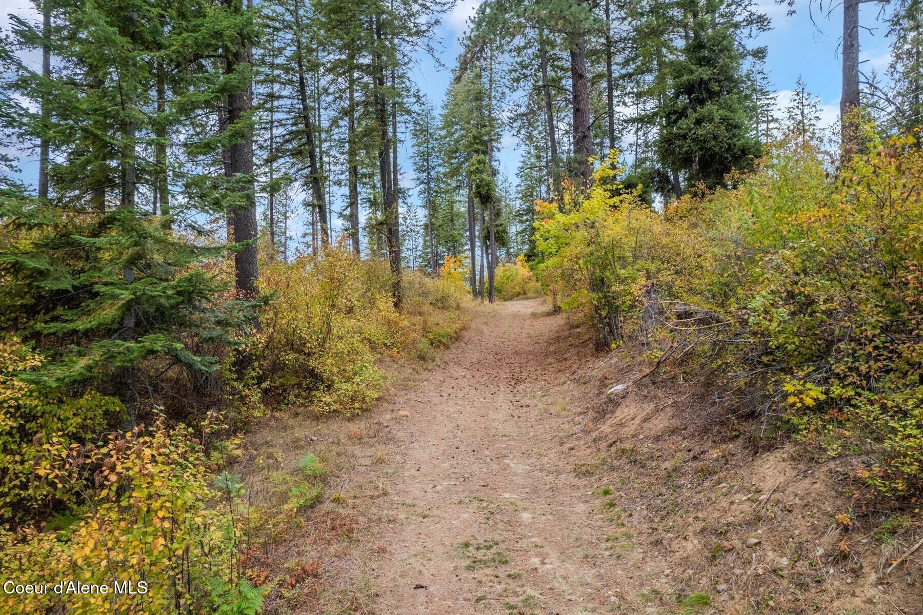 NNA Green Monarch Lane