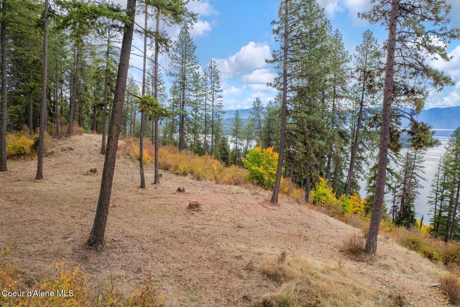 NNA Green Monarch Lane