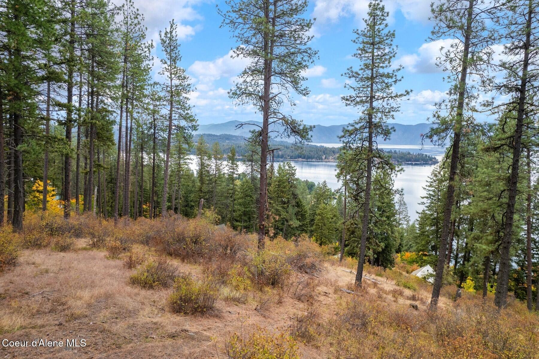 NNA Green Monarch Lane