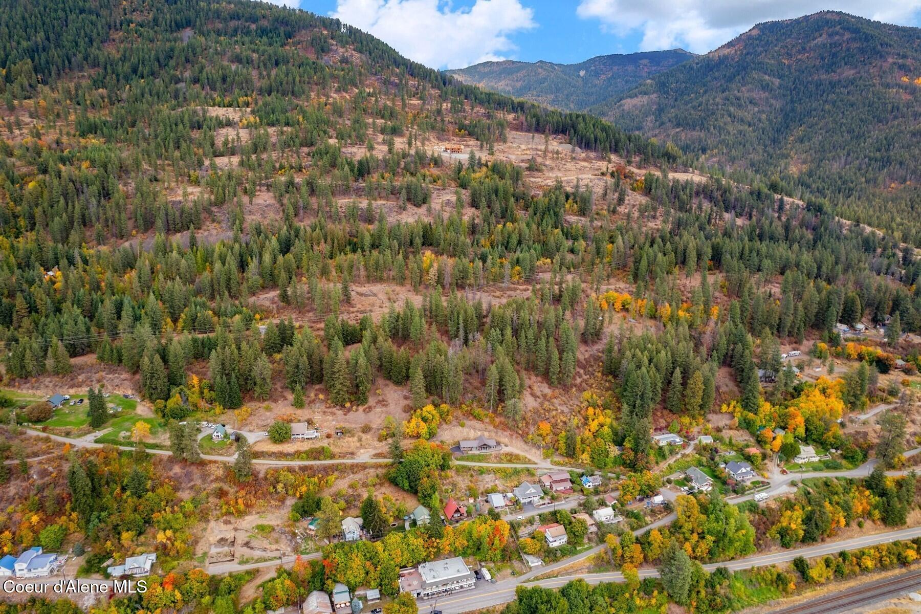 NNA Green Monarch Lane