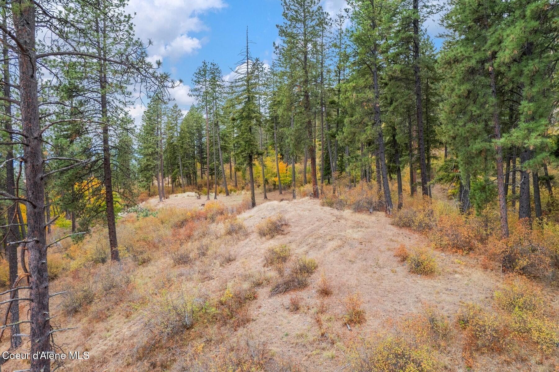 NNA Green Monarch Lane