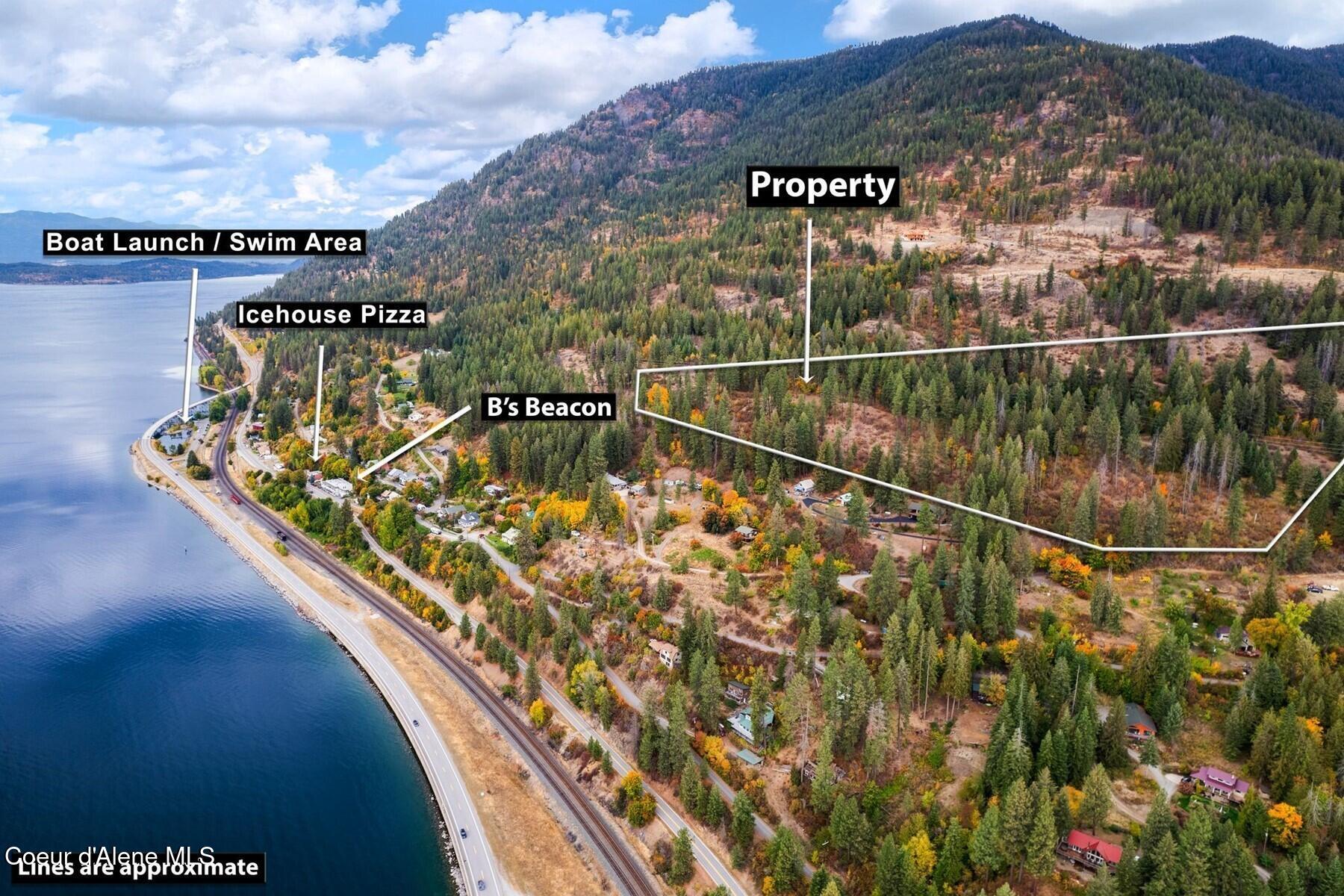 NNA Green Monarch Lane