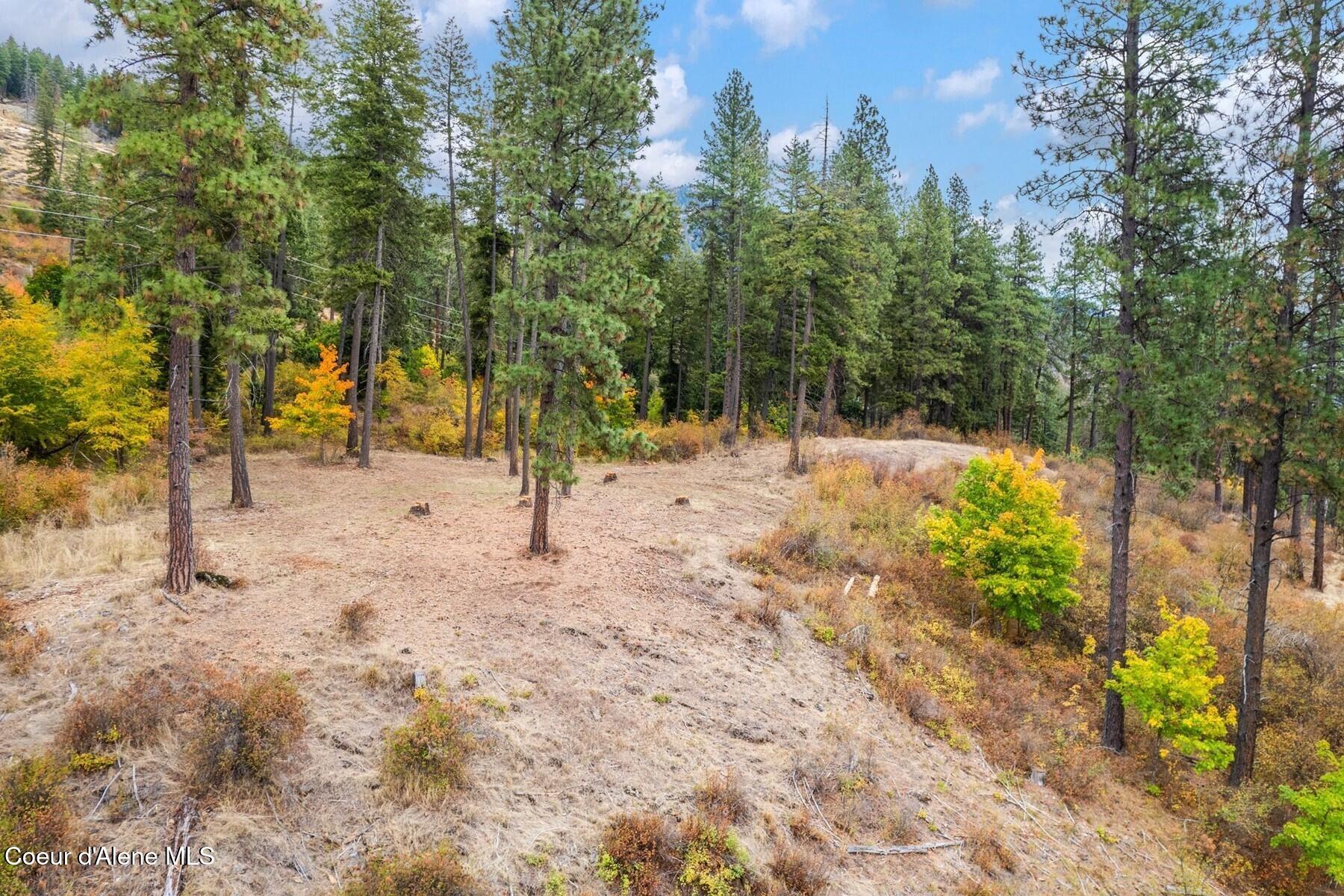 NNA Green Monarch Lane