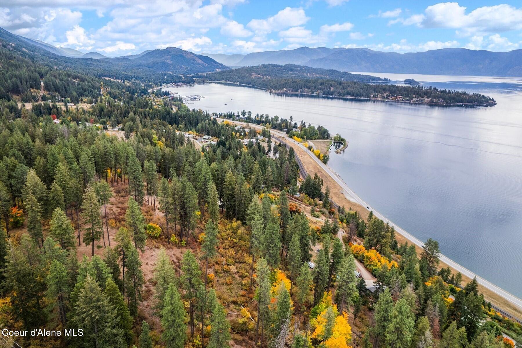 NNA Green Monarch Lane