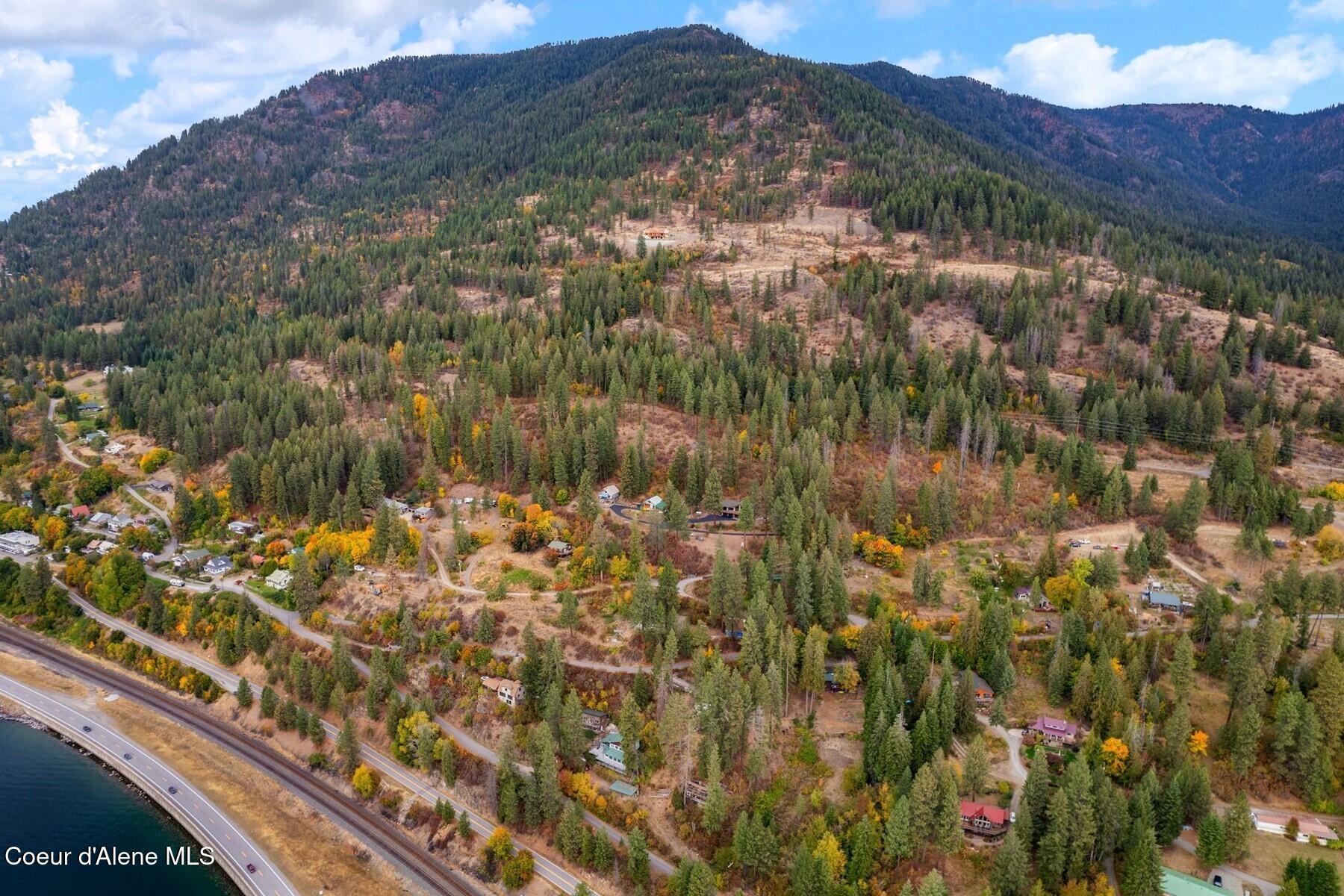 NNA Green Monarch Lane