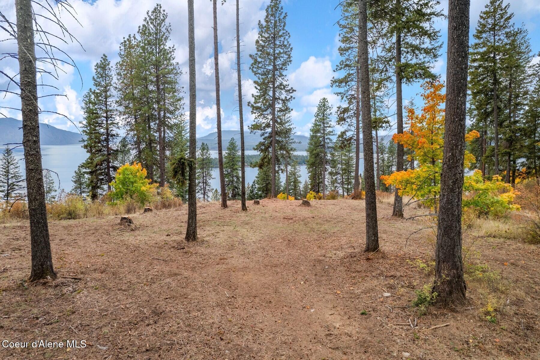 NNA Green Monarch Lane