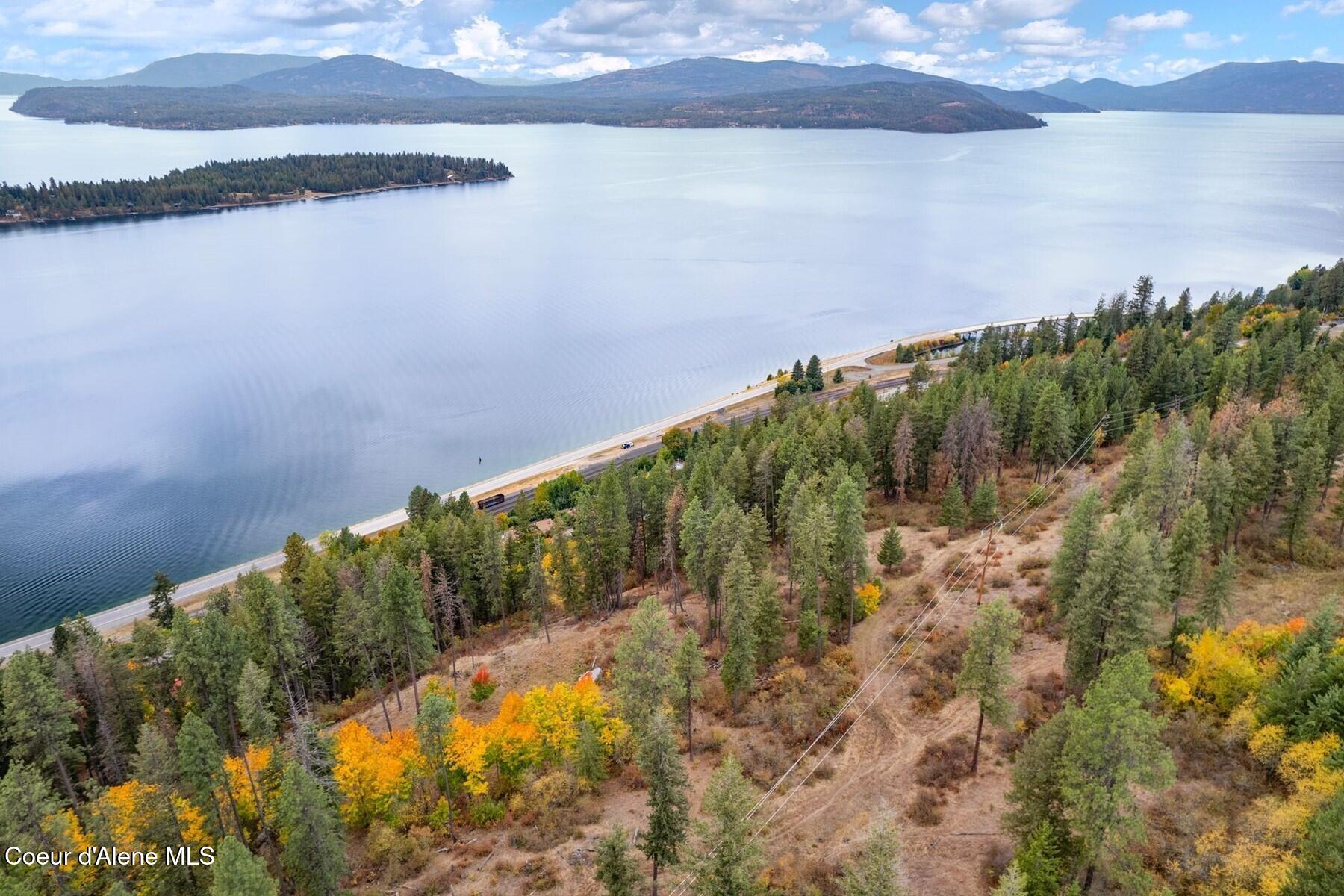 NNA Green Monarch Lane