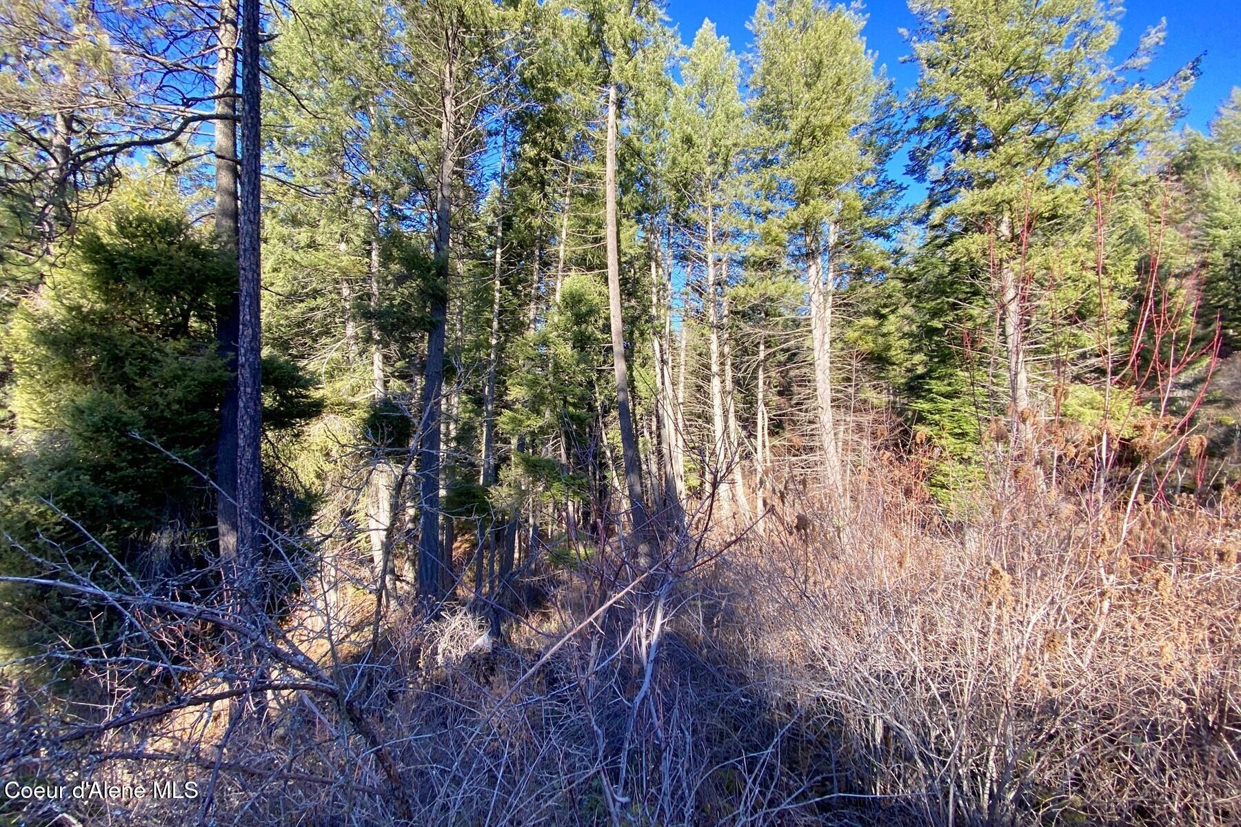 150 Castle Crest