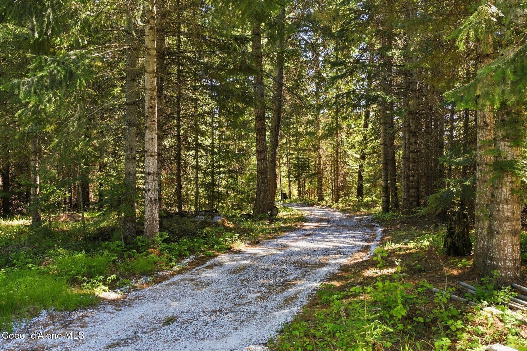 50 Goat Trail