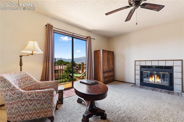 2329 Thornhill Drive