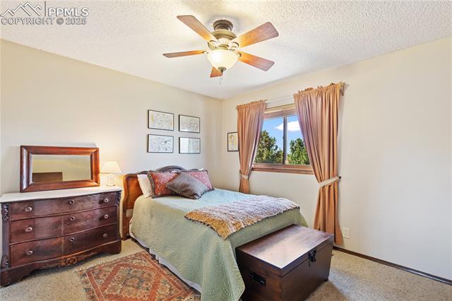 2329 Thornhill Drive