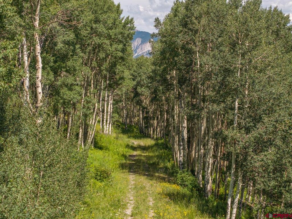 2555 Aspen Mountain Road