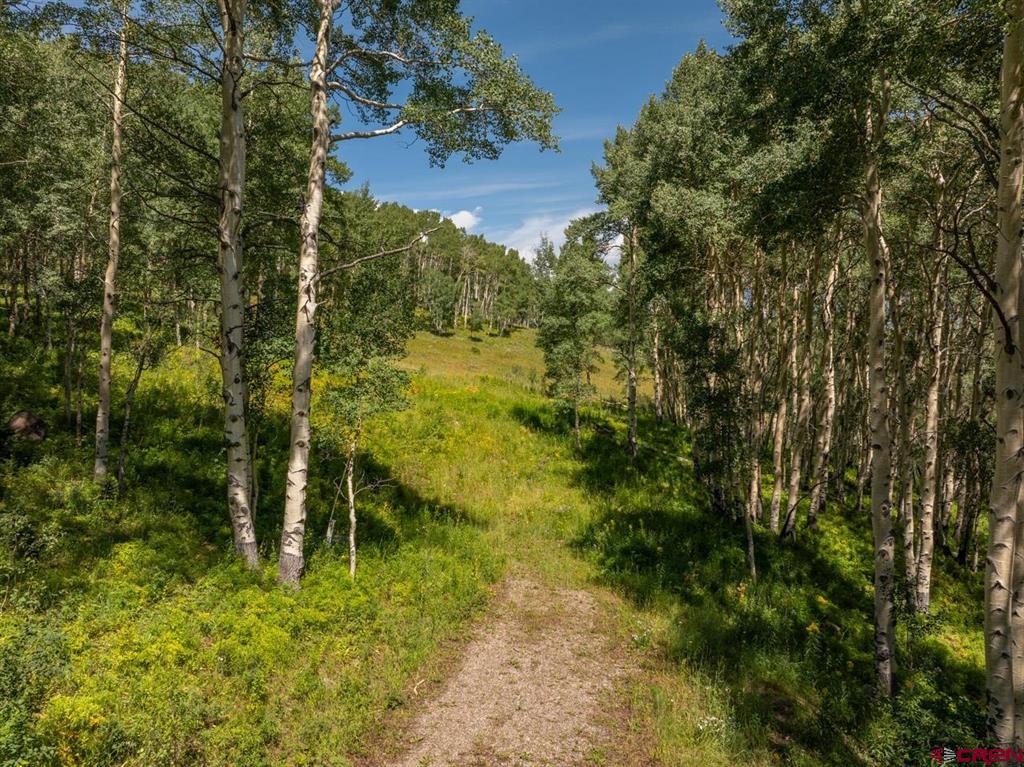 2555 Aspen Mountain Road