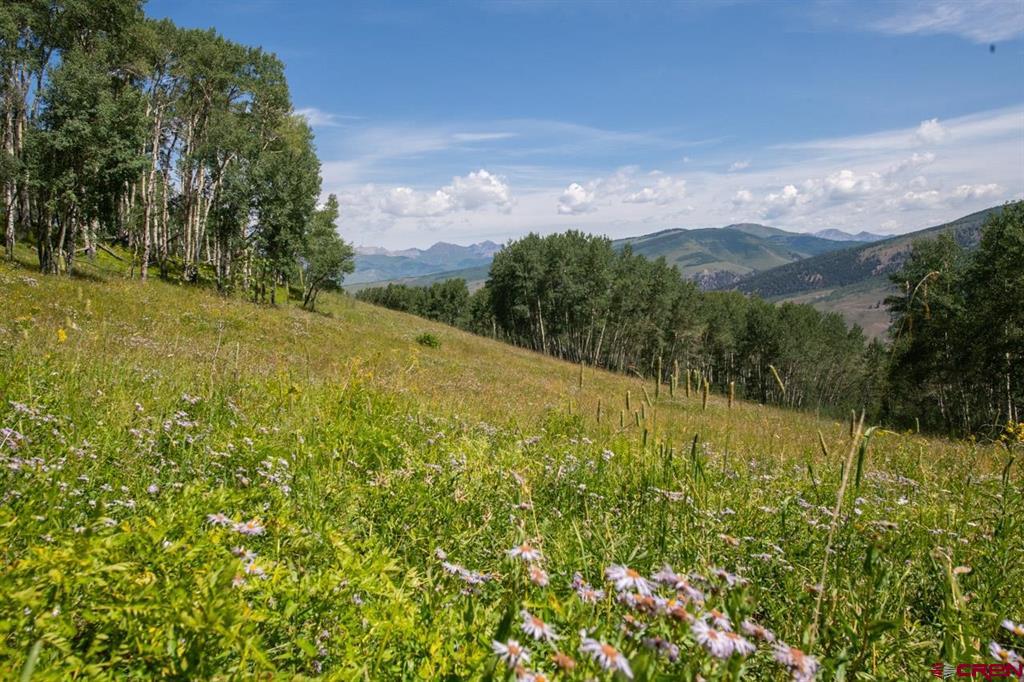 2555 Aspen Mountain Road