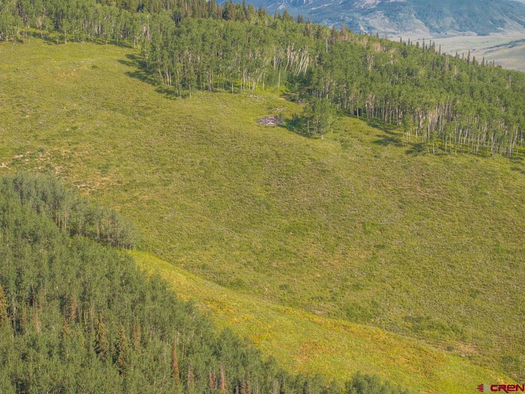 465 Oversteeg Gulch Road