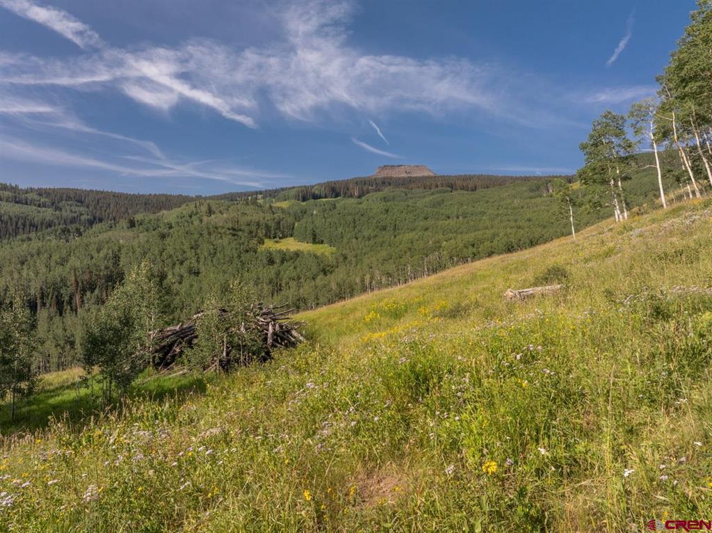 465 Oversteeg Gulch Road