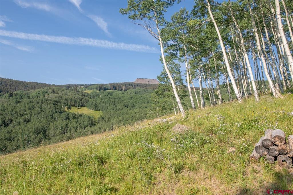 465 Oversteeg Gulch Road