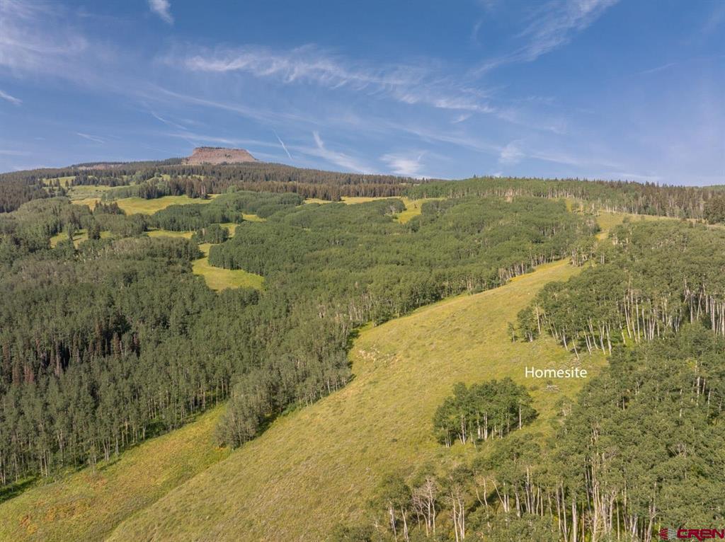 465 Oversteeg Gulch Road