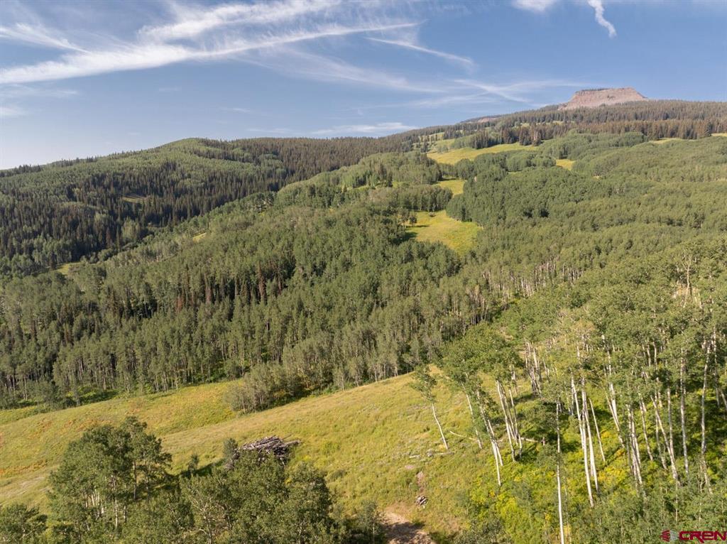 465 Oversteeg Gulch Road