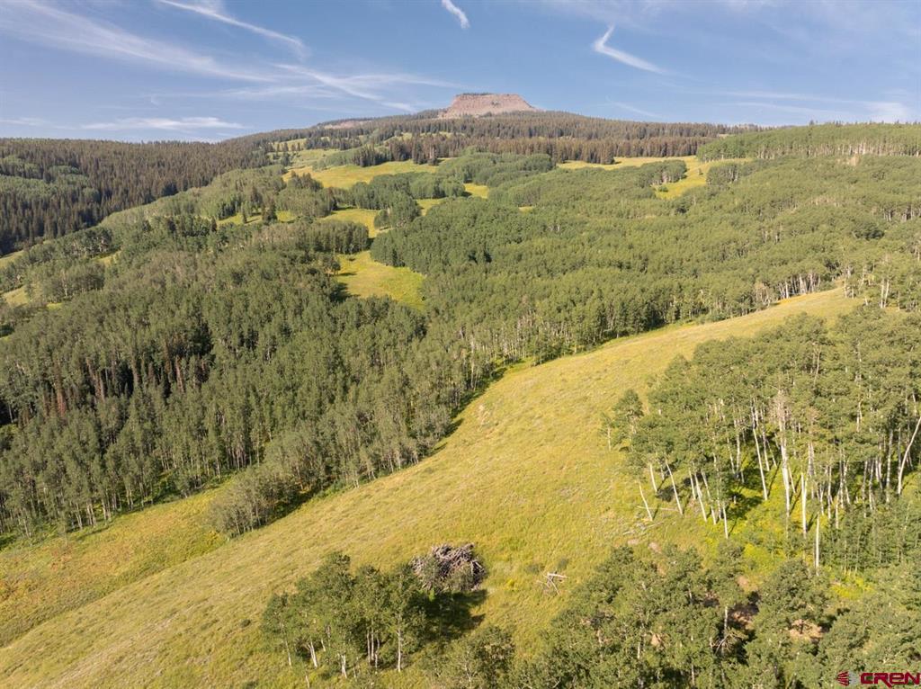 465 Oversteeg Gulch Road