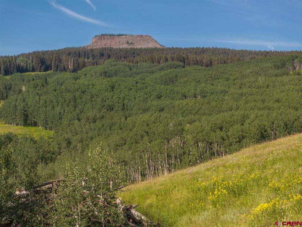 465 Oversteeg Gulch Road