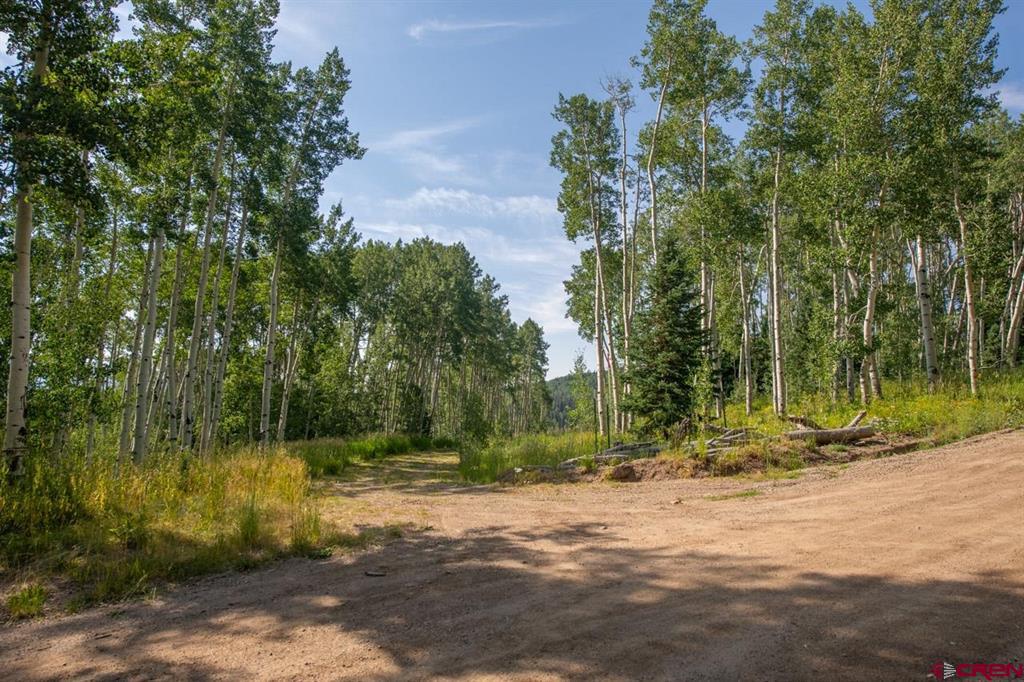 465 Oversteeg Gulch Road