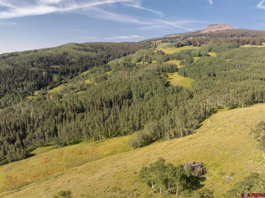 465 Oversteeg Gulch Road