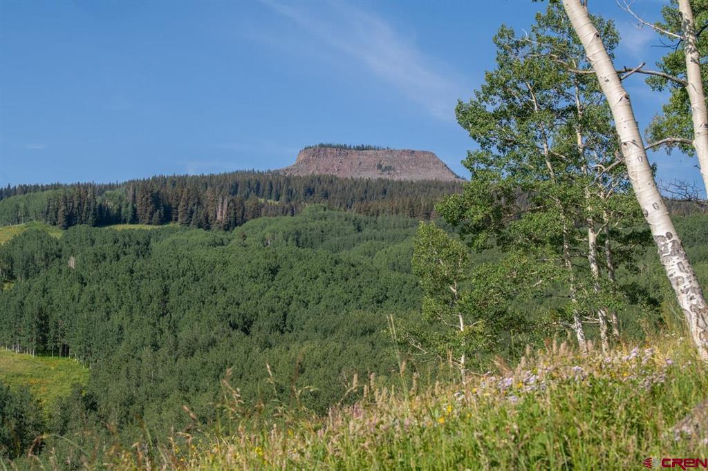 465 Oversteeg Gulch Road