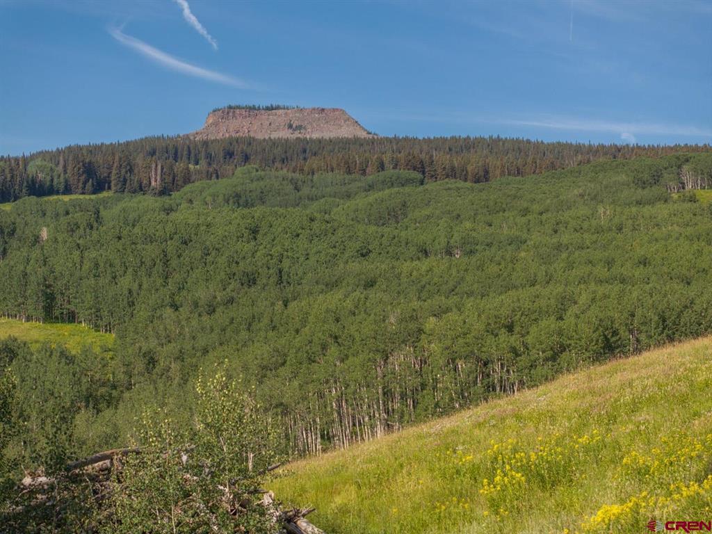 465 Oversteeg Gulch Road