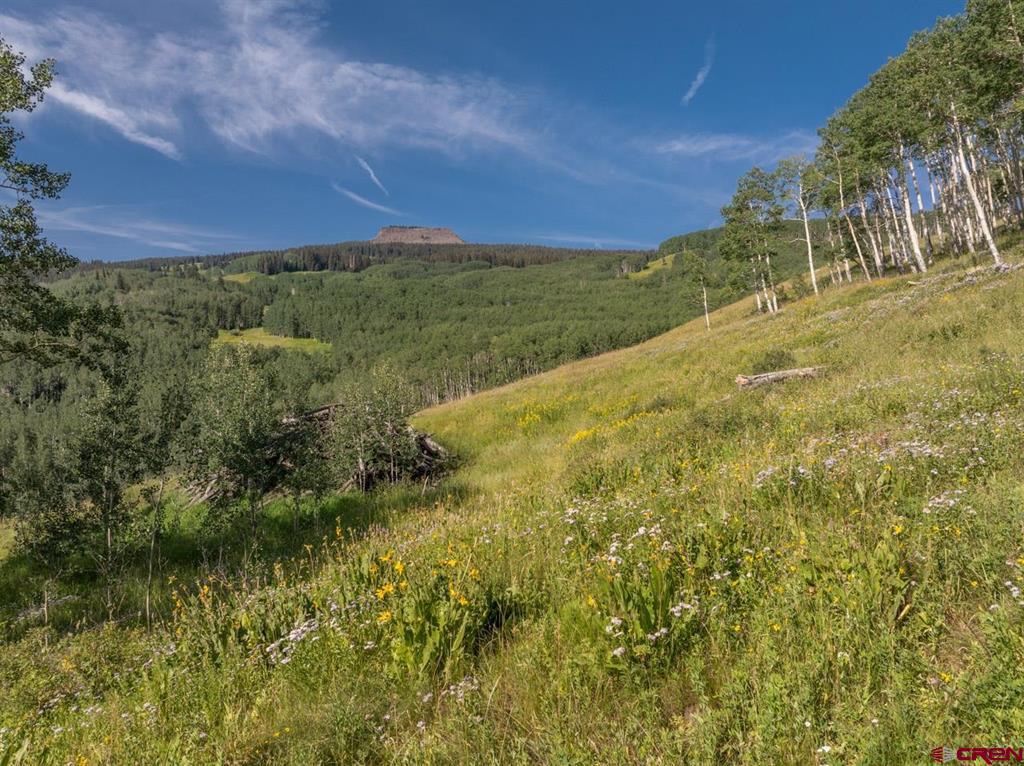 465 Oversteeg Gulch Road