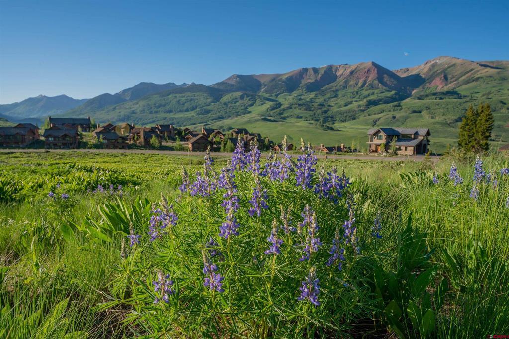 14 Walking Deer Lane