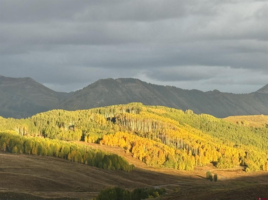 20 Hunter Hill Road Unit: 110