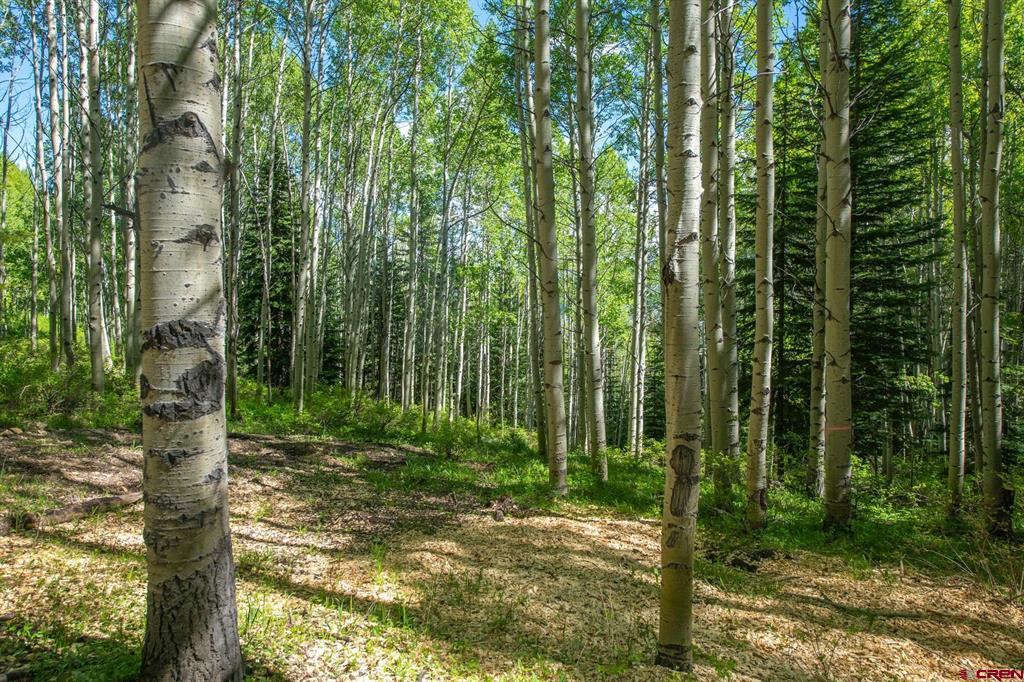 tbd Hidden Mine Road