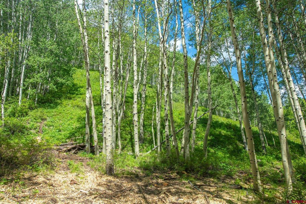 tbd Hidden Mine Road