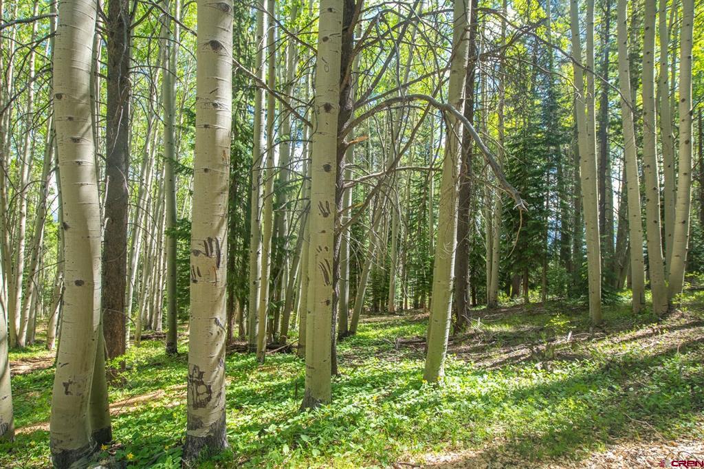 tbd Hidden Mine Road