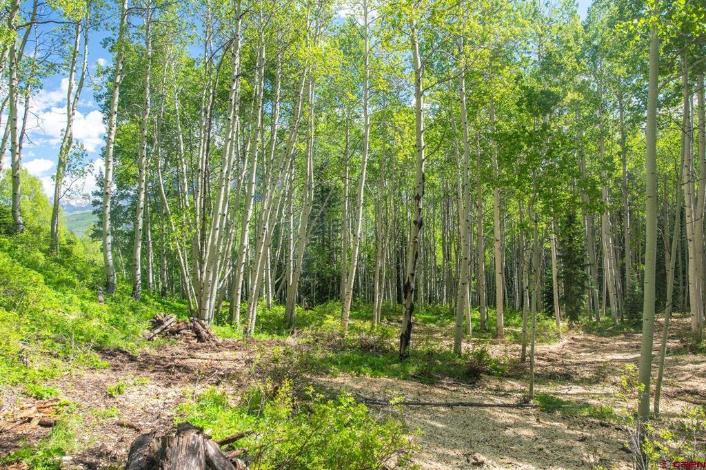 tbd Hidden Mine Road