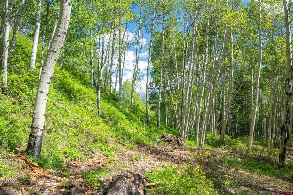 tbd Hidden Mine Road